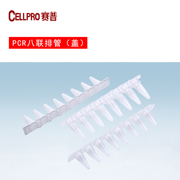 賽普生物PCR八連管